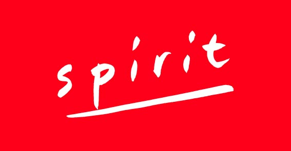 Logo Spirit REIM Services